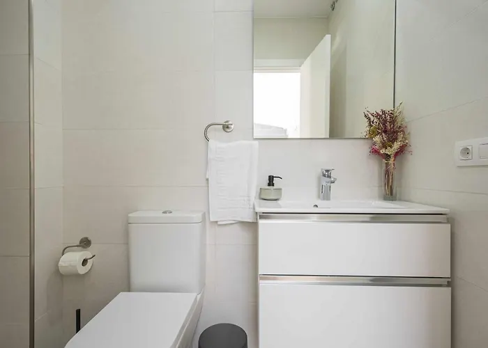 Adelantados El Patio Live Canarias